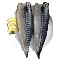 青花魚片特大鮐鯖魚日式青占魚烤鯖魚片青魚燒烤食材商用冷凍順豐