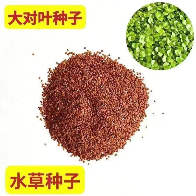 O1CN016vPBAe1ShNDlraMD4_!!2215009702278-0-cib