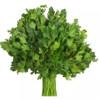 香菜種子大全農(nóng)家盆栽苗大葉芫荽種籽四季食用香菜籽蔬菜種籽種孑