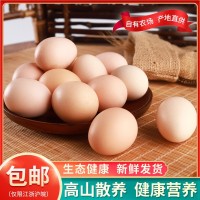 一農(nóng)小樅高山雞蛋 農(nóng)林散養(yǎng)土雞蛋 現(xiàn)撿現(xiàn)發(fā)營養(yǎng)柴雞蛋