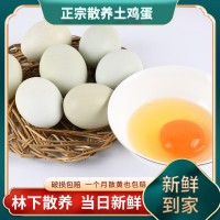 樅鄉(xiāng)情 農(nóng)家散養(yǎng)烏雞蛋 新鮮土雞蛋柴雞蛋 小樅禮盒裝雞蛋