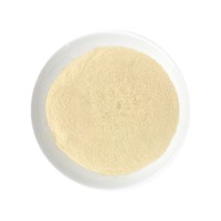 味盛隆洋蔥粉食用粉1000g撒料圓蔥粉燒烤調料烘焙原料調味料 包郵