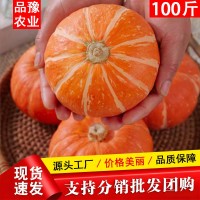 批發(fā)金貝貝南瓜正宗板栗口感老南瓜寶寶輔食一件代發(fā)紅貝貝小南瓜