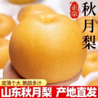 【測試專用】山東秋月梨新鮮