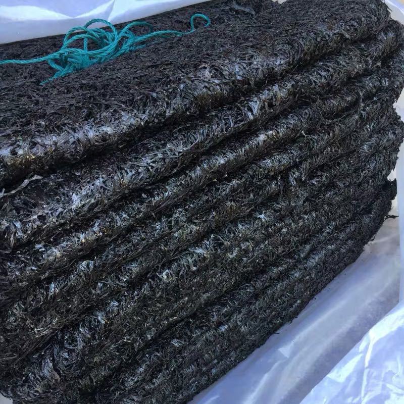 21607605214_1916088032 (1)