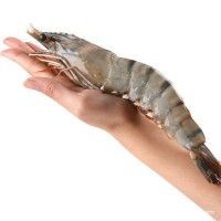 黑虎蝦超大新鮮大蝦老虎蝦鮮活虎蝦基圍蝦特大速凍海鮮斑竹九節(jié)蝦