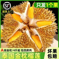 泰國(guó)金枕榴蓮新鮮10斤進(jìn)口當(dāng)季水果整果巴掌榴蓮肉一整個(gè)順豐包郵